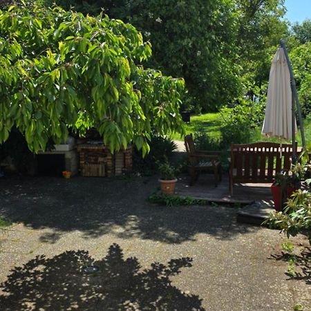 Appartement Avec Jardin A Colmar Exteriér fotografie